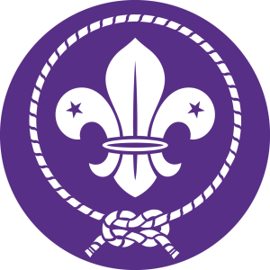 Datos scouts